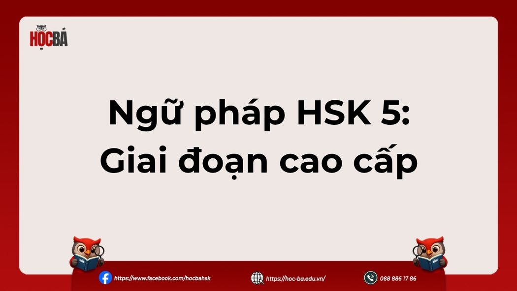 Tổng hợp ngữ pháp HSK 5 giai đoạn cao cấp đầy đủ nhất - Học Bá