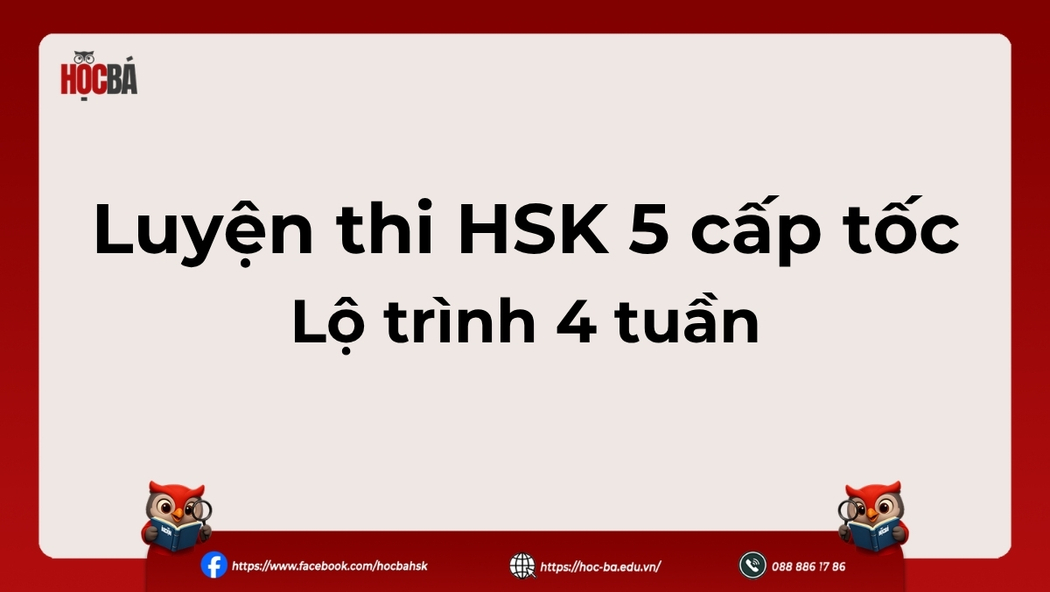 Lộ trình 1 tháng ôn HSK 5 cho người đã vững nền HSK 4